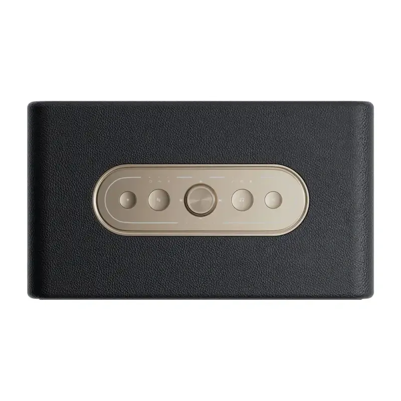 QCY SP300 Wireless Speaker (Black)
